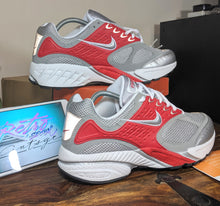 Load image into Gallery viewer, (2004) Nike Air Pegasus